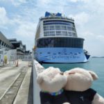 Quantum of the Seas Cruise to Nowhere (at Marina Bay Cruise Centre)