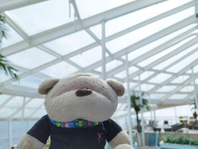 2bearbear at Solarium Quantum of the Seas