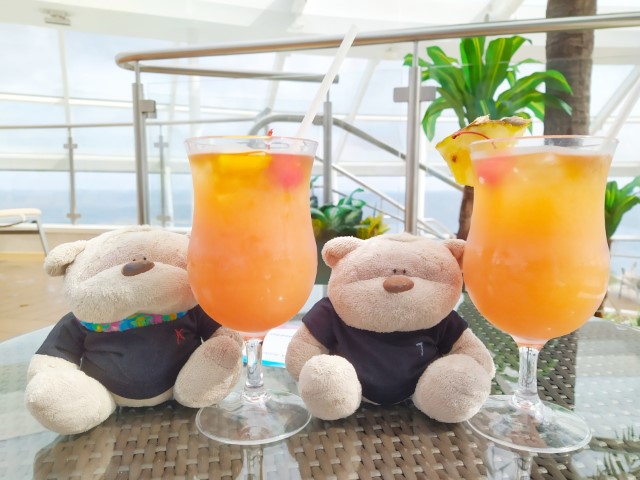 Tequila Sunrise and Bahama Mama (the one with pineapple) cocktails Royal Caribbean Cruise Deluxe Beverage Package