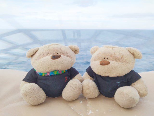 2bearbear at Solarium Royal Caribbean Cruise Quantum of the Seas