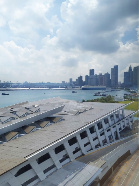 View of Singapore Central Business District from Spectrum of the Seas