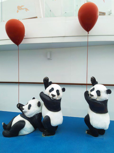 Spectrum of the Seas - Three Pandas