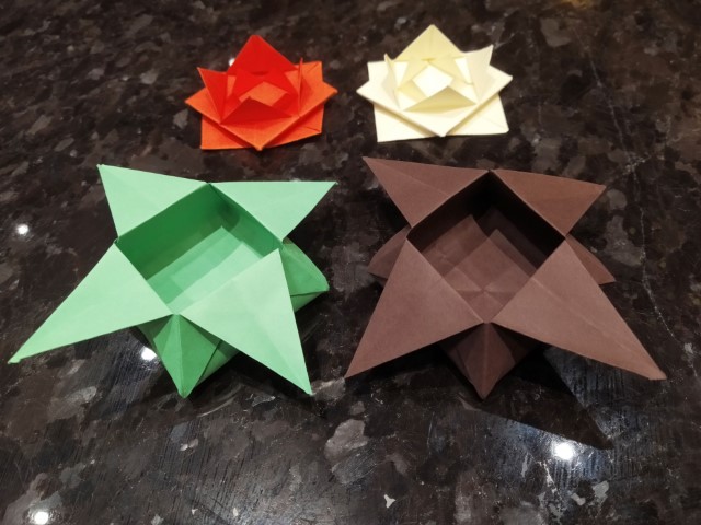 Spectrum of the Seas Paper Flowers Folding Class 3
