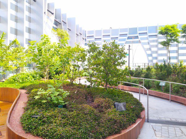 Rooftop Garden at CapitaSpring 51st Storey Sky Garden