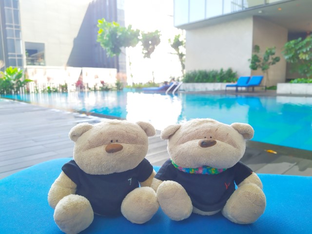2bearbear chilling at Club Floor infinity pool of Oasia Hotel Downtown