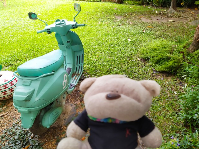 Scooter in Kate's favourite colour at Patom Organic Living bangkok