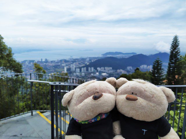 2bearbear at Penang Hill Gallery @ Edgecliff