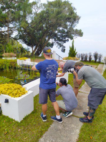 Guests snapping at the blue-coloured bird at David Brown's Hilltop Garden Restaurant Penang Hill