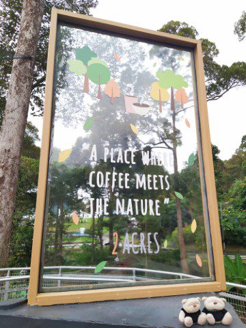 Mini "Tree Top Walk" at 2 Acres Cafe Penang