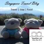 2bearbear Travel App - Home (Featured)