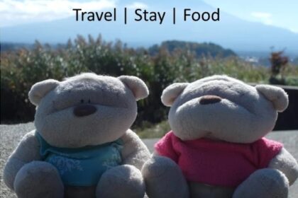 2bearbear Travel App - Home (Featured)