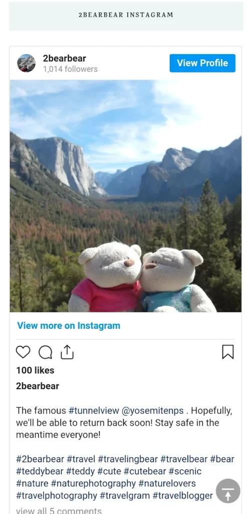 2bearbear Travel App - Social Media (Instagram)