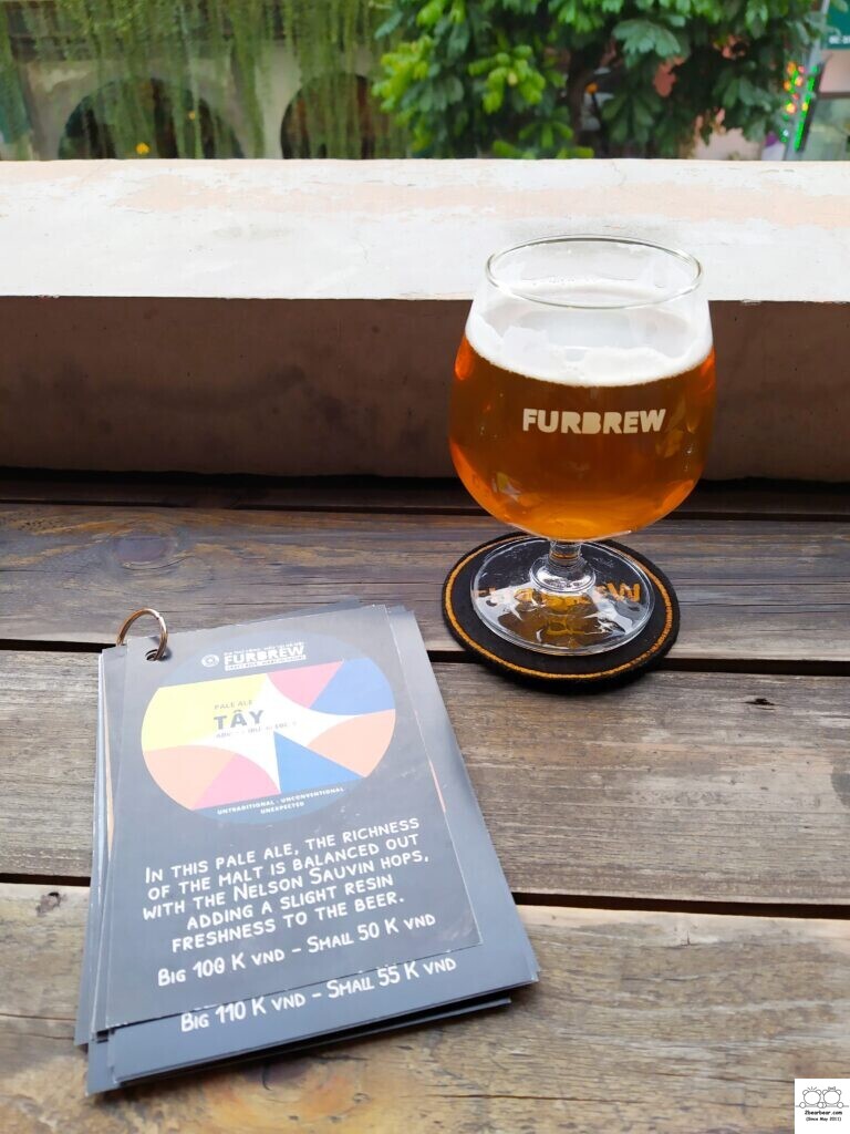 Tay Pale Ale The Box Bar Hanoi (formerly known as Furbrew Craft Beer)