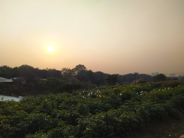 Sunset at Vuon Hoa Phuong Linh Hanoi Botanical Gardens