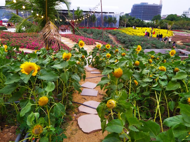 Cafe Thung Lũng Hoa Hanoi Flower Garden Stone paths leading to the flower fields