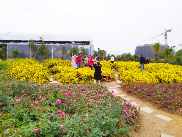 Cafe Thung Lũng Hoa Hanoi Flower Garden - Many visitors taking group and individual photos!