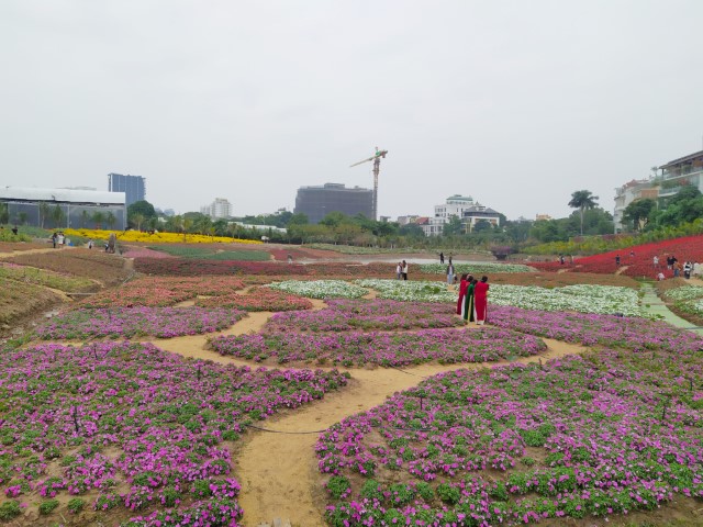 Cafe Thung Lũng Hoa Hanoi Flower Garden - Beautifully curated flower fields