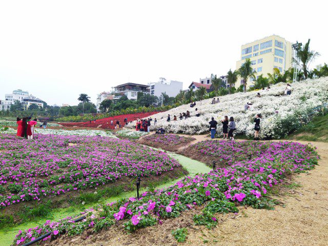 Cafe Thung Lũng Hoa Hanoi Flower Garden - Various species and colours of flowers