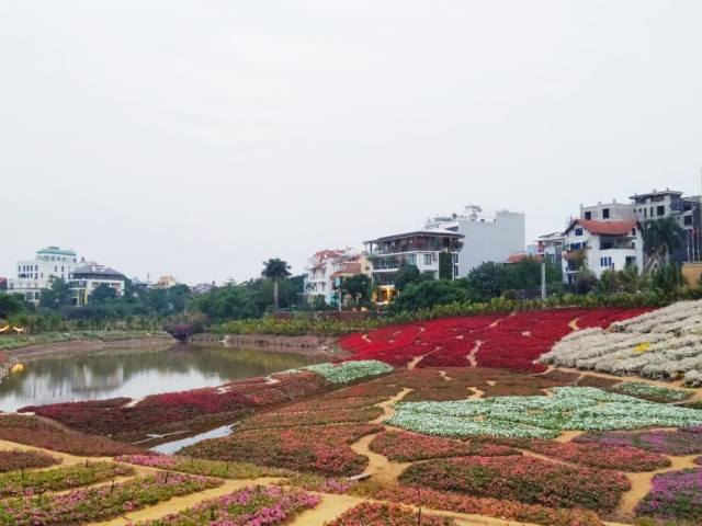 Cafe Thung Lũng Hoa Hanoi Flower Garden - Flower fields and lake