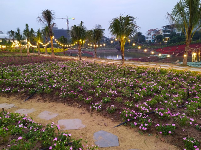 Cafe Thung Lũng Hoa Hanoi Flower Garden - Rows of flowers and fairy lights