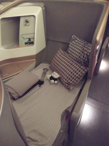 SQ Business Class seat on A380-800 - fully flat bed for 2bearbear