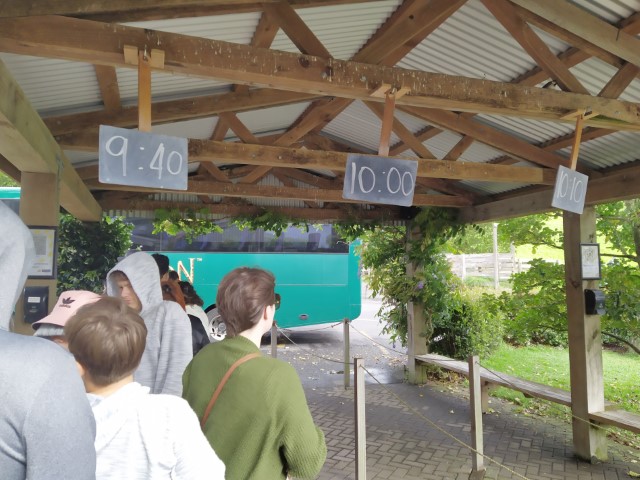 Our bus tour at 940am at Hobbiton this morning