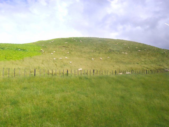 Entering into the rolling hills of the Alexander Farm at Hobbiton