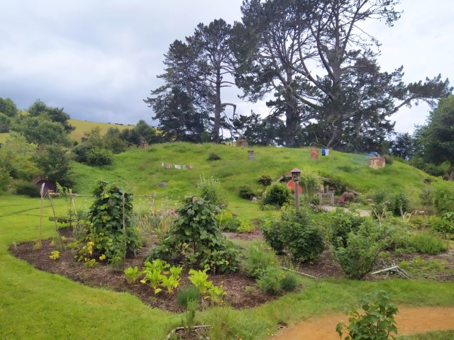 Last look at The Shire inside Hobbiton Movie Set before we left