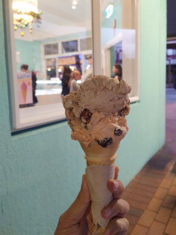 Maple Walnut and Rum & Raisin Ice Cream from Lady Janes Ice Cream Parlour Rotorua New Zealand