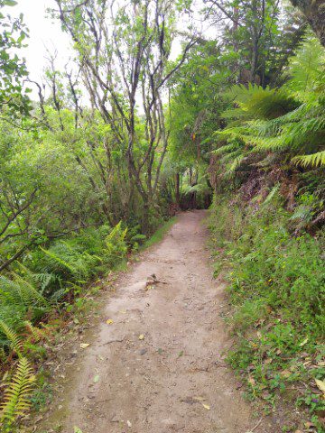 Take a right turn and walk downwards towards the river to see Huka Falls