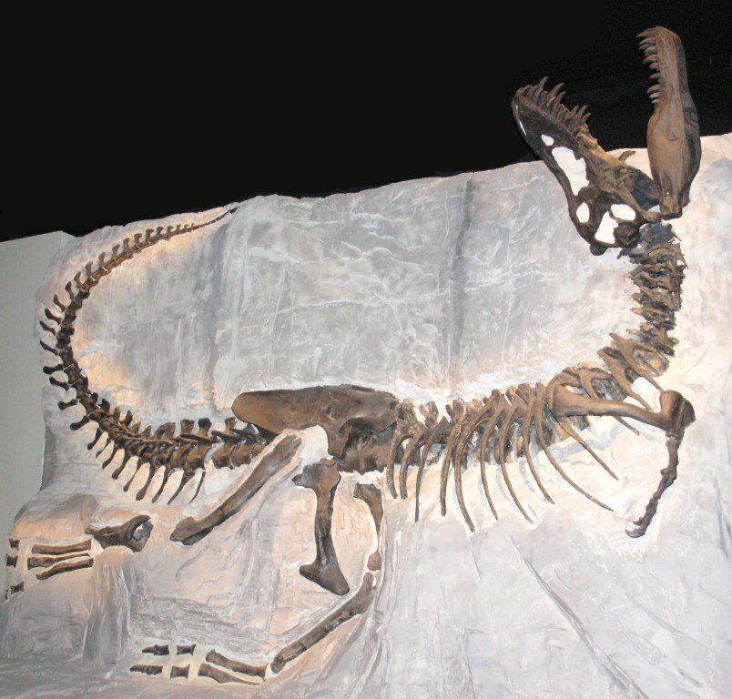 Dinosaurs Asphyxiation