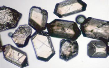 The problem with Zircons for Uranium Lead (U-Pb) Radioisotope Dating