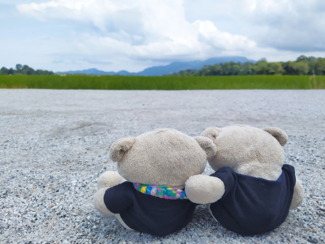 Another shot of 2bearbear at Balik Pulau rice fields next to Penang Container Art Festival