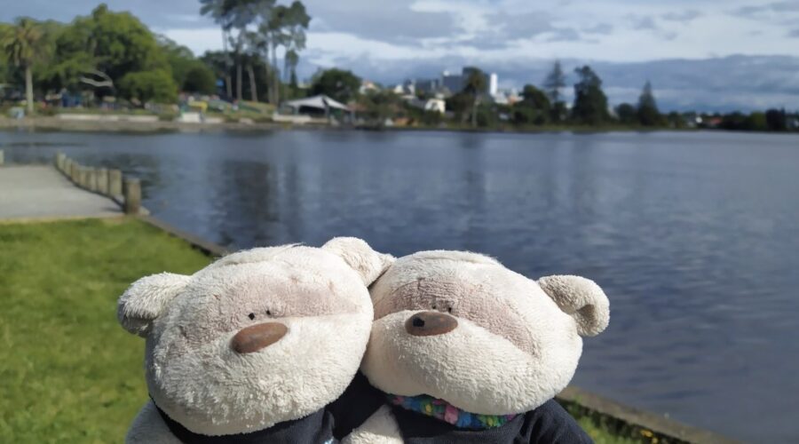 2bearbear at Hamilton Lake (aka Lake Rotoroa)