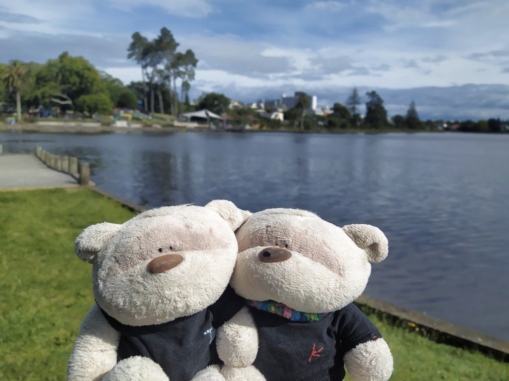 2bearbear at Hamilton Lake (aka Lake Rotoroa)