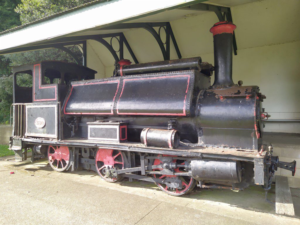 Train at Hamilton Lake New Zealand (Lake Rotoroa)