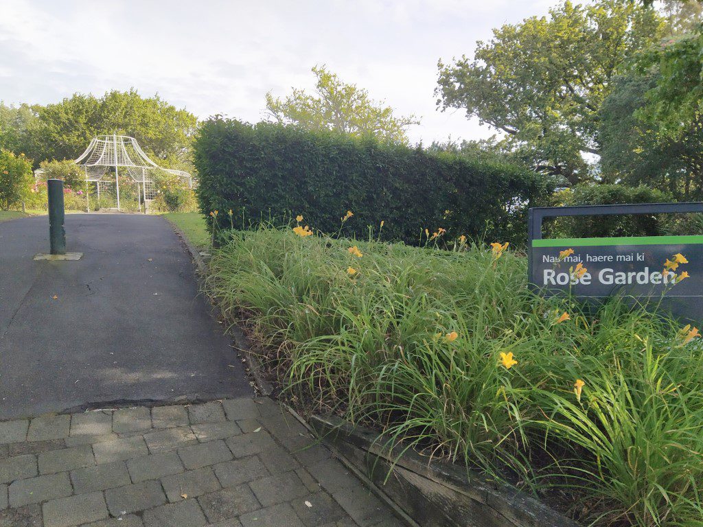 Hamilton Lake Rose Garden