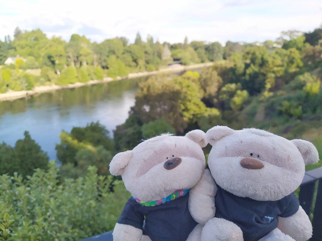 2bearbear at Waikato River Hamilton Central New Zealand