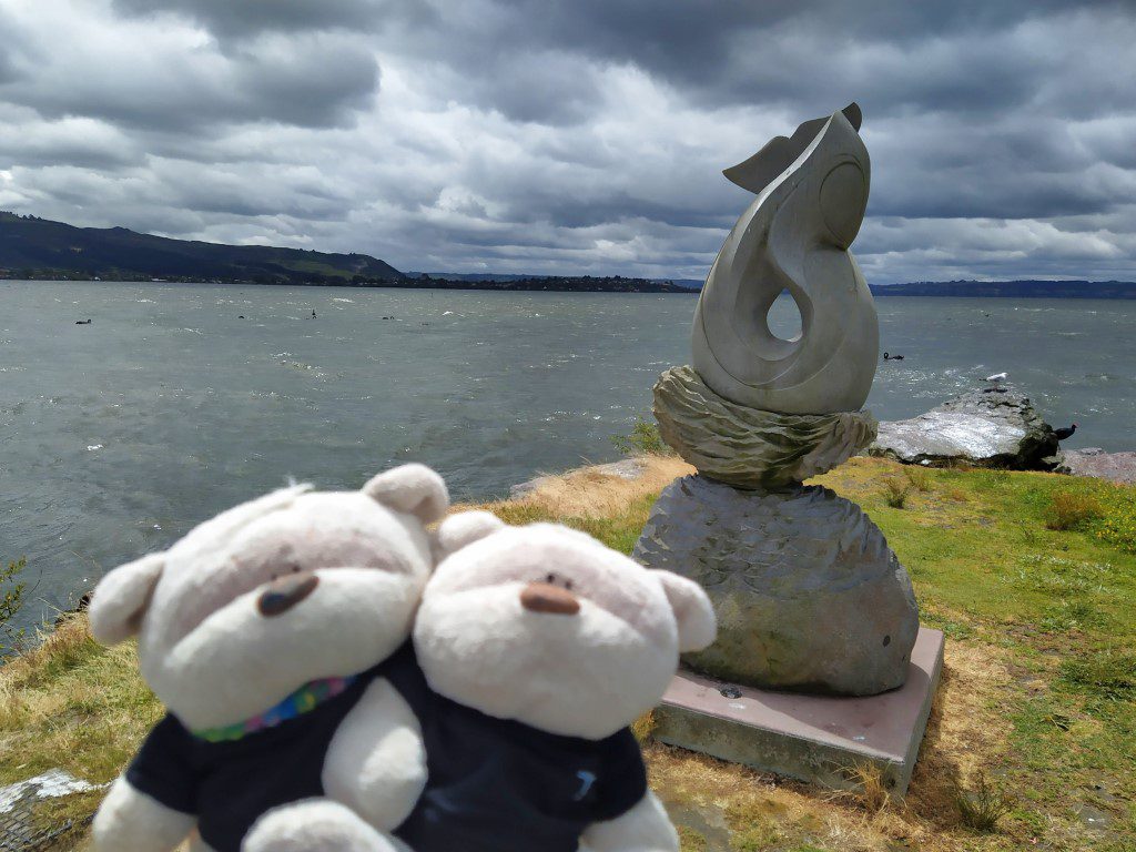 2bearbear at Lake Rotorua New Zealand