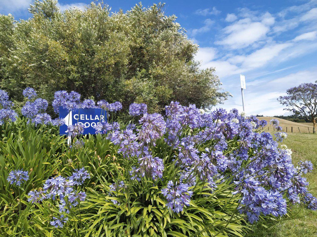 Parking area at Te Awanga Estate Winery