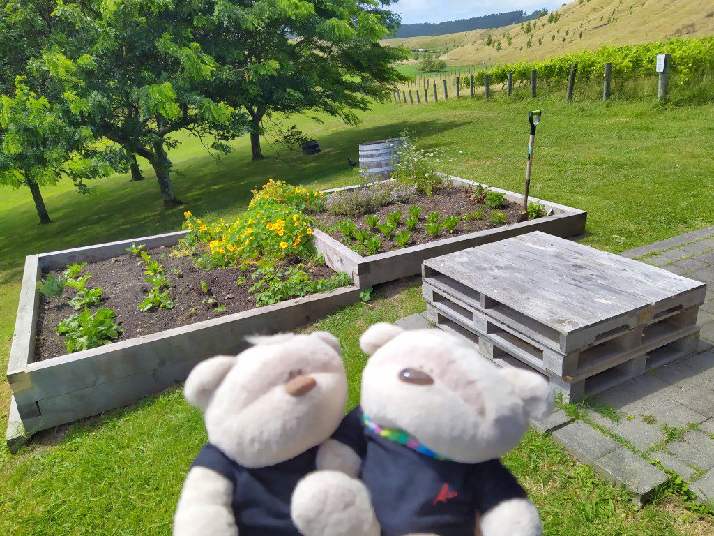 2bearbear at Cellar Door Te Awanga Estate