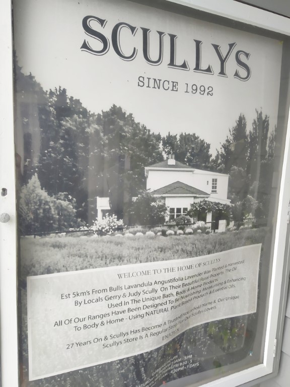 History of Scullys Bulls - Established in 1992