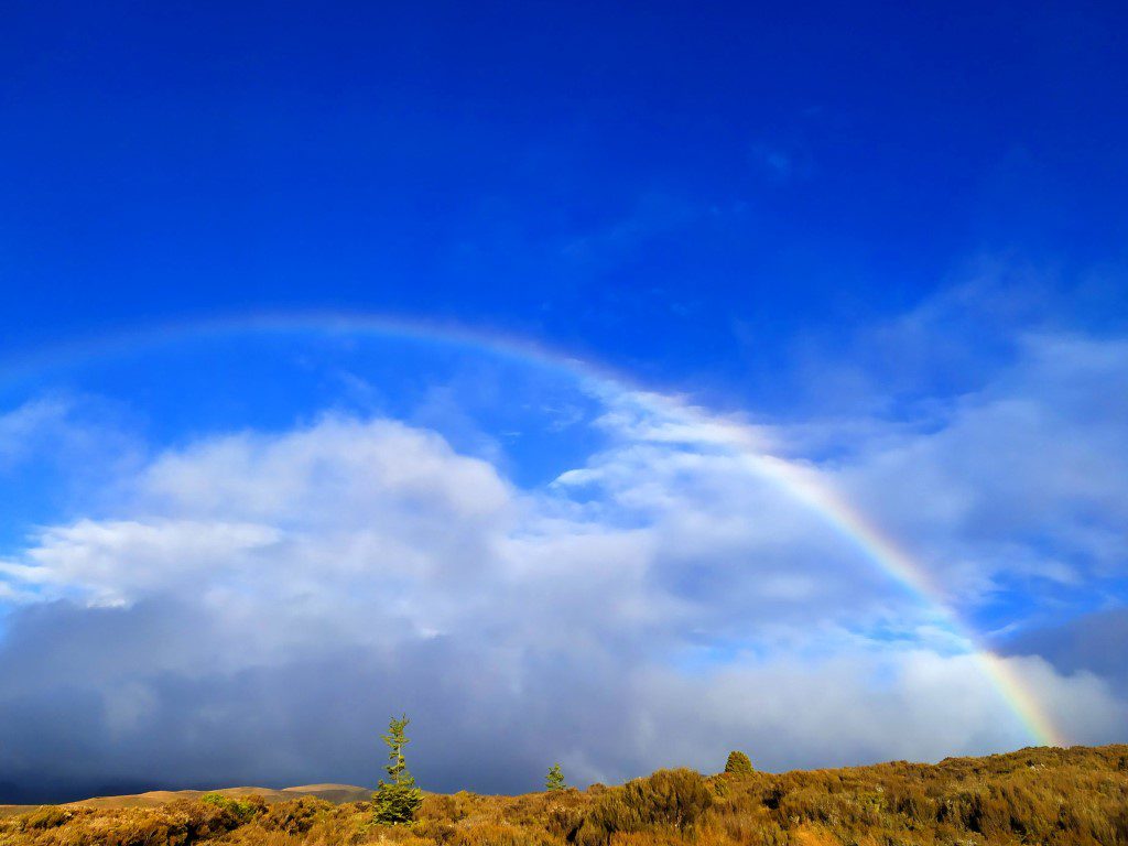 Another view of the rainbows from Skotel Alpine Resort