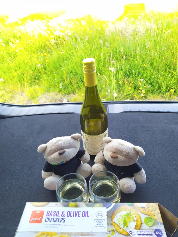 2bearbear and wine at the boot of the car from Skotel Alpine Resort NZ