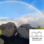 2bearbear witnessing rainbow off Skotel Alpine Resort