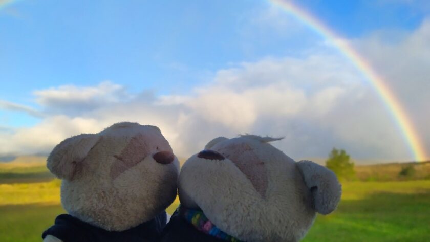 2bearbear witnessing rainbow off Skotel Alpine Resort