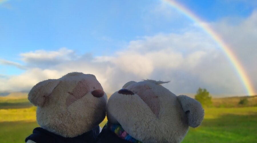 2bearbear witnessing rainbow off Skotel Alpine Resort