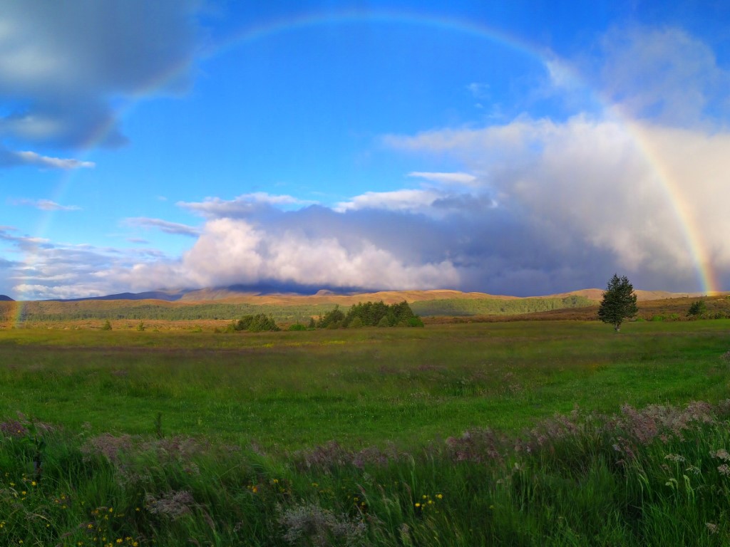 Complete rainbow in the fields off Skotel Alpine Resort NZ