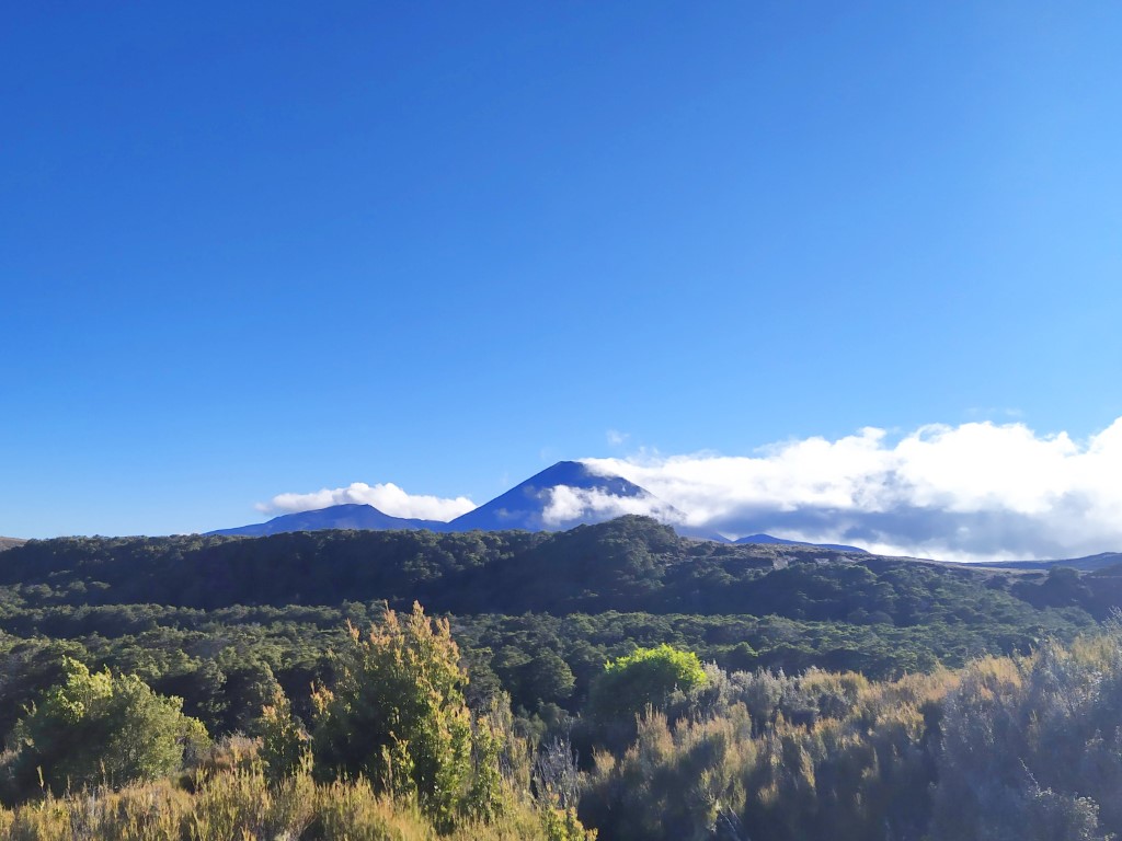 Mount Ngauruhoe in the distance