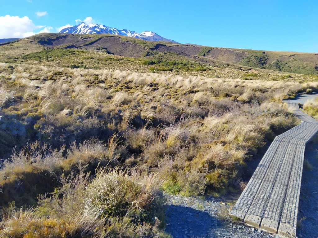 View of Mount Ruapehu in the distance